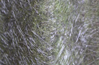 Charles Tye fibreglass roof work